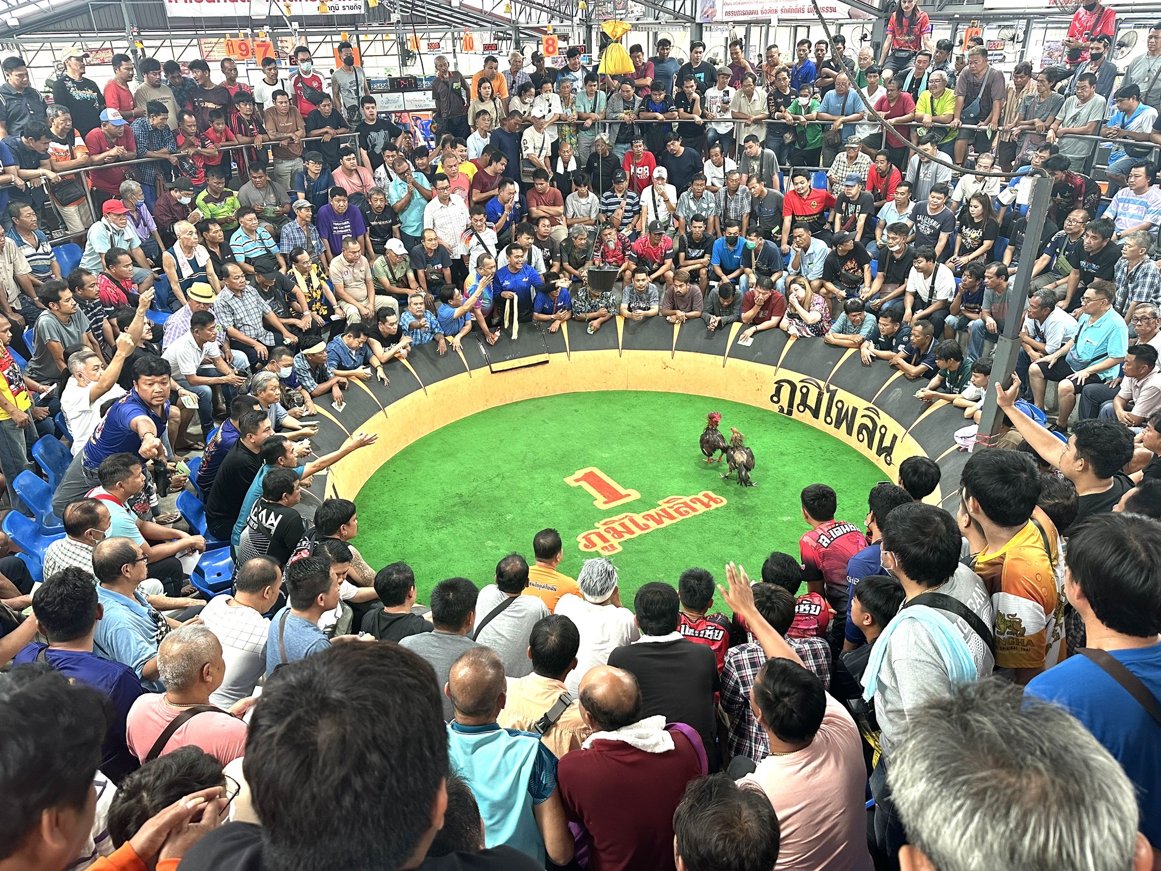 สนามชนไก่ภูมิไพลิน